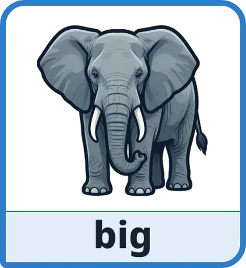 Picture card for the core word big: a large gray elephant