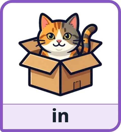 Picture card for the core word in: a cat sitting inside a cardboard box